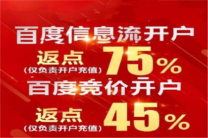 百度竞价运营案例分析：实战经验总结